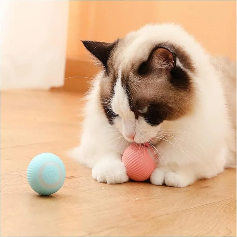 SMART TOY BALL