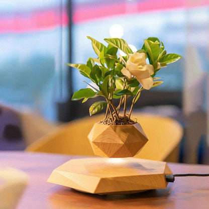 SMART LEVITATING PLANT POT