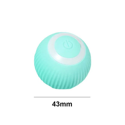 SMART TOY BALL